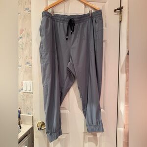 Fabletics Gray Joggers - Plus Size